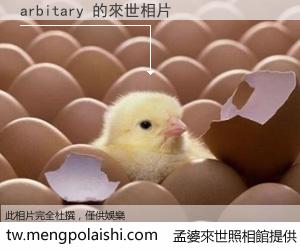 arbitary 來世的未來相片