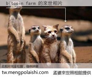bitcoin farm 來世的未來相片