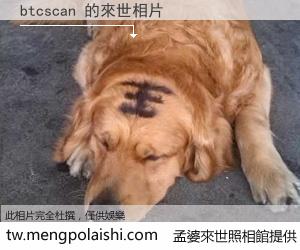 btcscan 來世的未來相片