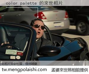 color palette 來世的未來相片