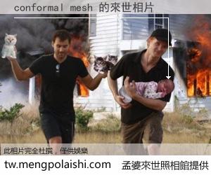 conformal mesh 來世的未來相片