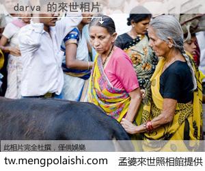 darva 來世的未來相片