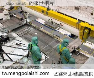 dbp unat 來世的未來相片