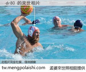 dr80 來世的未來相片