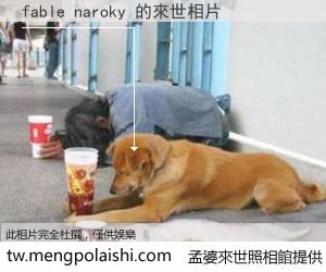 fable naroky 來世的未來相片