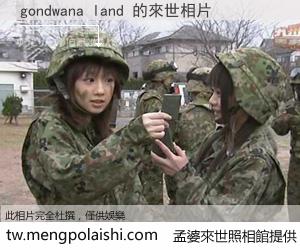 gondwana land 來世的未來相片