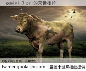 gemini 3 pr 來世的未來相片