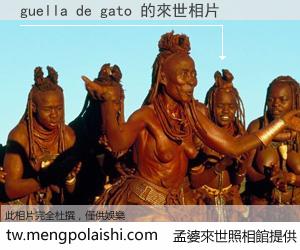 guella de gato 來世的未來相片