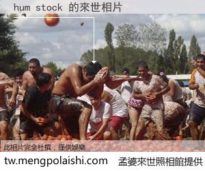 hum stock 來世的未來相片