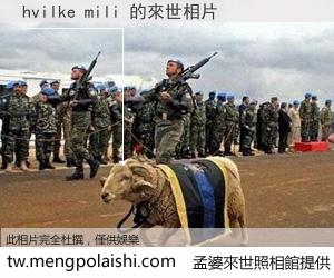 hvilke mili 來世的未來相片