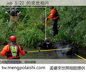 job 5:22 來世的未來相片