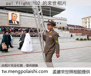 pal flight 102 來世的未來相片