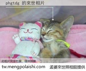 phgtdg 來世的未來相片