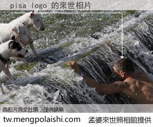 pisa logo 來世的未來相片