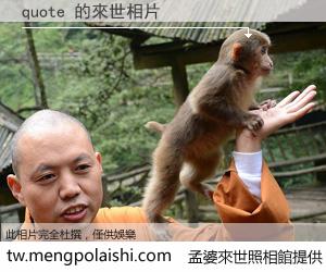 quote 來世的未來相片