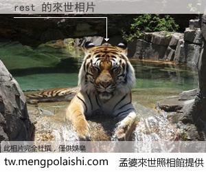 rest 來世的未來相片