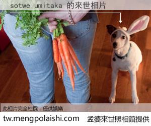 sotwe umitaka 來世的未來相片