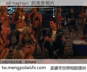 sd-tagtool 來世的未來相片