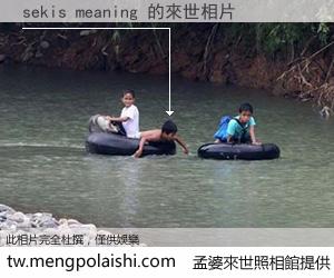 sekis meaning 來世的未來相片