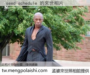 seed schedule 來世的未來相片