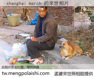 shanghai march 來世的未來相片