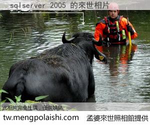 sqlserver 2005 來世的未來相片