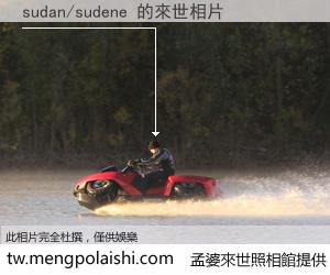 sudan/sudene 來世的未來相片