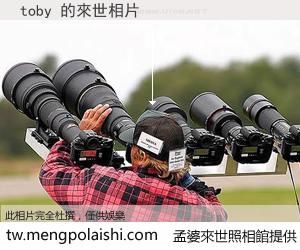 toby 來世的未來相片
