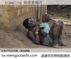 trampling 來世的未來相片