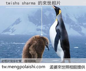 twishs sharma 來世的未來相片
