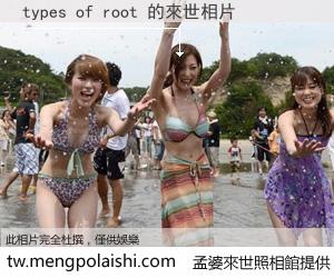 types of root 來世的未來相片