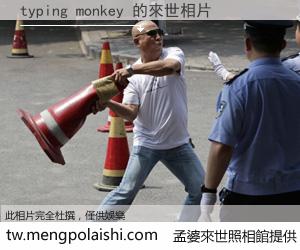 typing monkey 來世的未來相片
