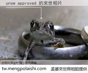 unsw approved 來世的未來相片
