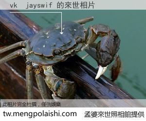 vk  jayswif 來世的未來相片