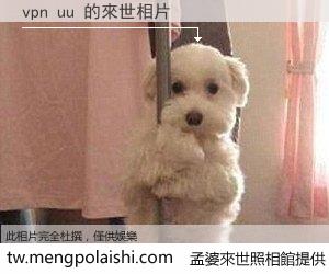 vpn uu 來世的未來相片