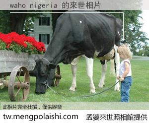 waho nigeria 來世的未來相片