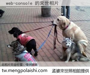 web-console 來世的未來相片