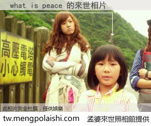 what is peace 來世的未來相片