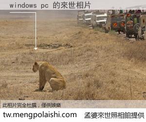 windows pc 來世的未來相片
