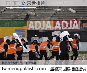 광활한 來世的未來相片