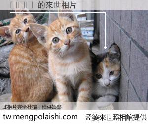 국미애 來世的未來相片