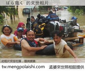 ばら撒く 來世的未來相片