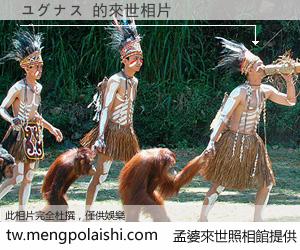 ユグナス 來世的未來相片