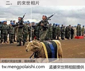 二。 來世的未來相片