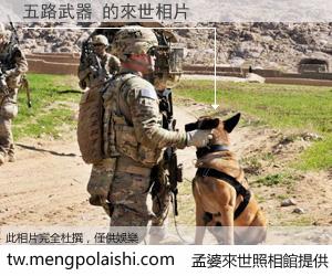 五路武器 來世的未來相片