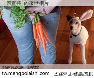 何宜芸 來世的未來相片