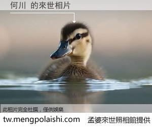 何川 來世的未來相片