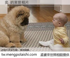 奕 來世的未來相片