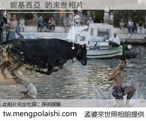 妮基西亞 來世的未來相片