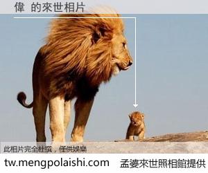 偉 來世的未來相片